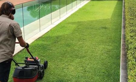 Sydney Strata Garden Maintenance Garden Managers