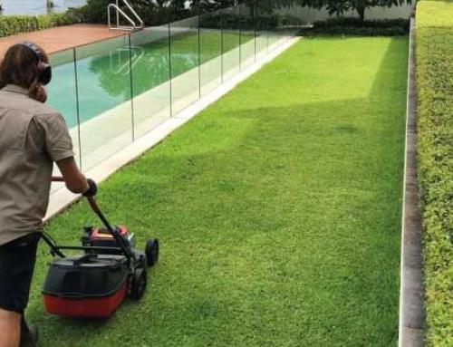 How to Get Committee Approval for a New Garden Contractor | NSW Strata 2026