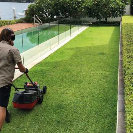 Sydney-Strata-Garden-Maintenance-Garden Managers Sydney Strata Garden Maintenance Garden Managers