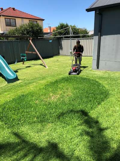 ongoing-lawn-mowing-in-sydney Ongoing lawn mowing in Sydney.