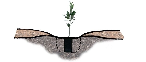 How to plan tubestock