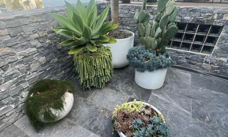 Comprehensive Guide to Container Gardening in Urban and Small Space Environments