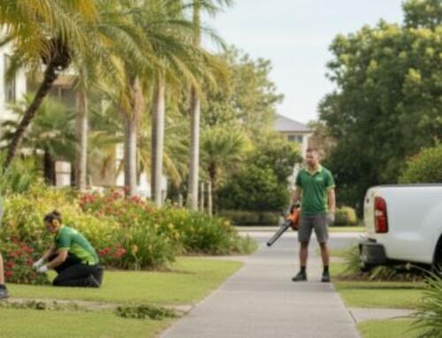 The 10-Year Capital Works Plan: Landscaping & Irrigation Budget Template for NSW Strata 2026