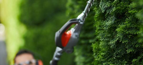 Maximising ROI Through Sustainable Strata Landscaping in Sydney