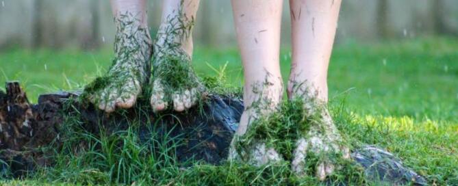 Soggy Lawn - Sydney Garden Drainage Solutions Before the Next Downpour