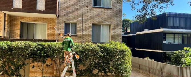 Sydney Strata and Homeowners 5 Sydney Landscaping Upgrades That Increase Property Value