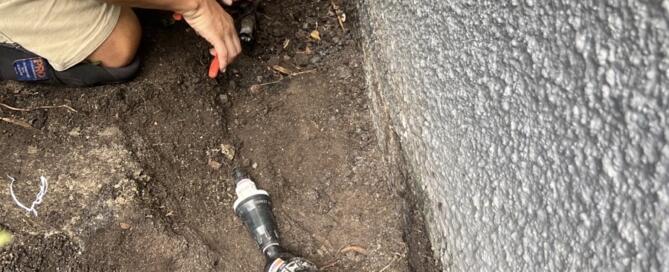 Drip vs Spray Irrigation - The Ultimate Guide for Sydney Strata Landscapes