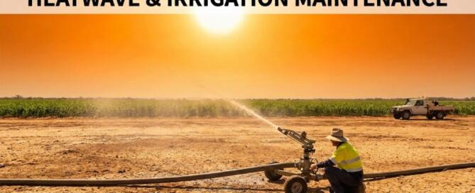 Garden Irrigation Maintenance During a Heatwave - Why It Matters (and What to Check)