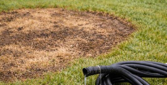 Reviving the Brown Patch - Sydney’s Guide to Fixing Common Irrigation Failures