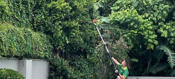 Sydney Strata Garden Maintenance- The Complete Guide to Responsibilities and Compliance