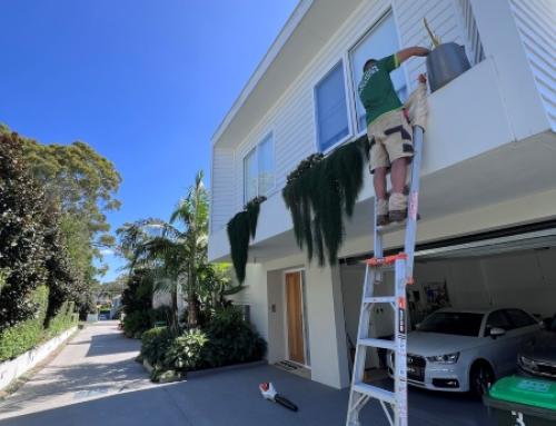 Strata Grounds Maintenance Sydney 2026 | What’s Actually Included
