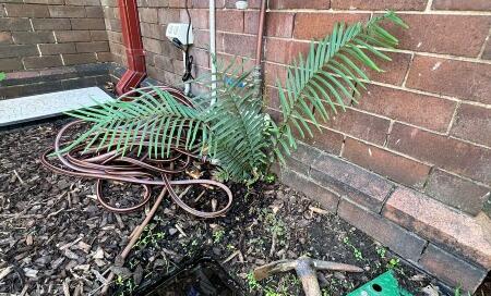 Emergency Irrigation Repair Sydney- How to Act Fast Before Plants Die or Water Bills Surge