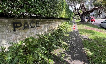Grounds Maintenance Sydney 2026 - Whats Included & How Much It Costs - Garden Managers