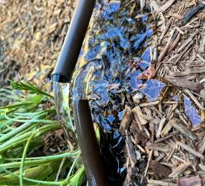 Irrigation System Not Working — How to Diagnose Before Calling a Technician