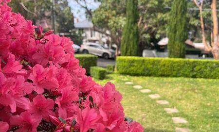 Tenant Garden Maintenance Responsibilities NSW 2026 - Complete Guide