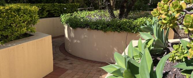 What a neglected strata garden actually costs your building — and how to fix it fast