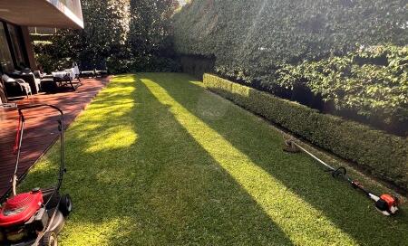 Landlord Responsibilities for Garden Maintenance NSW 2026 - Complete Guide