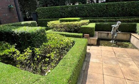 Spring Strata Garden Preparation Checklist Sydney 2026 Committee Guide