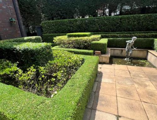 Spring Strata Garden Preparation Checklist Sydney 2026 | Committee Guide