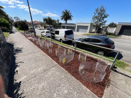 Nature Strip Garden Sydney final
